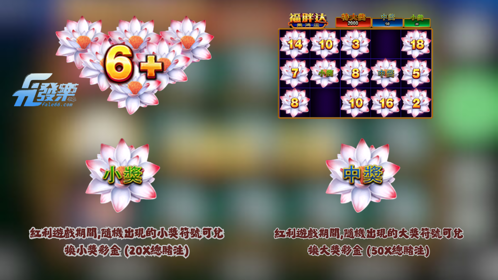 Bng福胖達集鴻運紅利遊戲